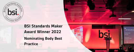 BSI Standards Award